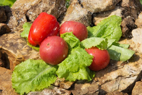Spor ve diyet. Sebze ve taze su. Sağlıklı beslenme