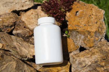 Spor ve beslenme. Diyet ve sağlıklı bir yaşam tarzı. Fitness ve vücut geliştirme