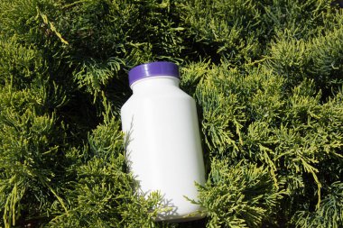 Spor ve beslenme. Diyet ve sağlıklı bir yaşam tarzı. Fitness ve vücut geliştirme