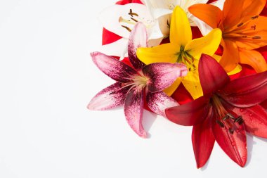 Güzel taze çiçekler. Hassasiyet ve hoş kokulu. Bahçe lilyum