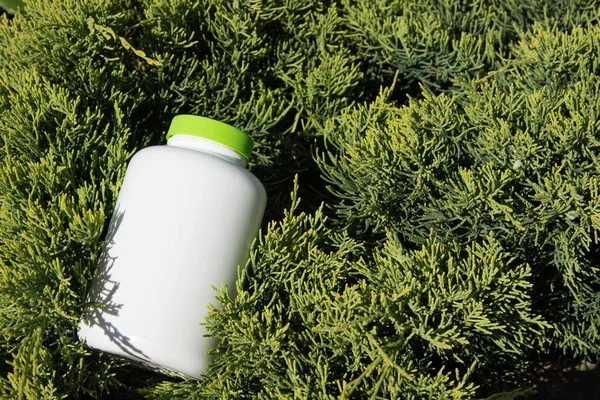 Spor ve beslenme. Diyet ve sağlıklı bir yaşam tarzı. Fitness ve vücut geliştirme