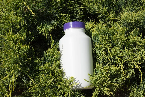 Spor ve beslenme. Diyet ve sağlıklı bir yaşam tarzı. Fitness ve vücut geliştirme