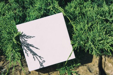 Sevgililer günü hediyesi. Gizli kutusu. 