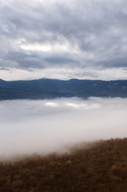 Kasvetli manzara. Ormanda sis..