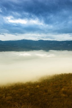 Kasvetli manzara. Ormanda sis..
