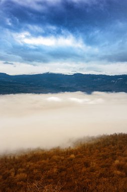 Kasvetli manzara. Ormanda sis..