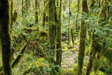 Baharda deniz tatili. Gün batımı.