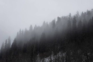 Kış, tatil ve akşam dağlarda.