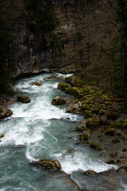 Eski ormandaki güzel nehir.