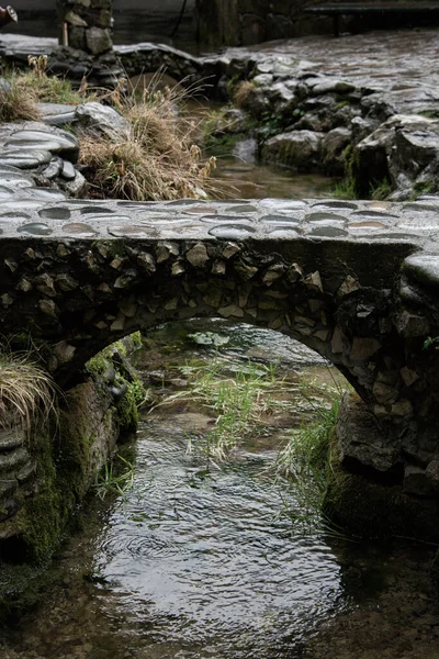 Schöner Fluss Alten Wald — Stockfoto