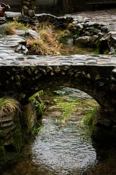 Schöner Fluss Alten Wald — Stockfoto