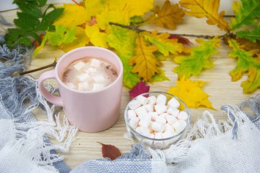 Sonbahar yapraklarının arka planında sıcak bir battaniye ve marşmelovlu büyük bir fincan sıcak kakao. Samimi sonbahar kompozisyonu.