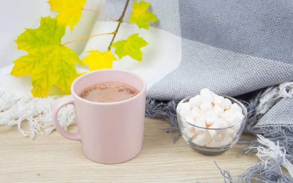 Κούπα ζεστή σοκολάτα με ζαχαρωτά σε φόντο φθινοπωρινών φύλλων — Φωτογραφία Αρχείου