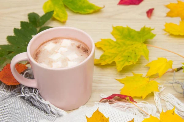 A large Cup of hot cocoa with marshmallows and a warm blanket on the background of autumn leaves. Cozy autumn composition. — 스톡 사진