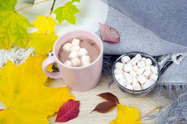 Κακάο και ζαχαρωτά. Φθινοπωρινή άποψη. Ζεστό κακάο ή ζεστή σοκολάτα με ζαχαρωτά σε παλιές ξύλινες σανίδες. Καφές, κακάο, ζεστή σοκολάτα, φύλλα φθινοπώρου, ζεστή κουβέρτα — Φωτογραφία Αρχείου