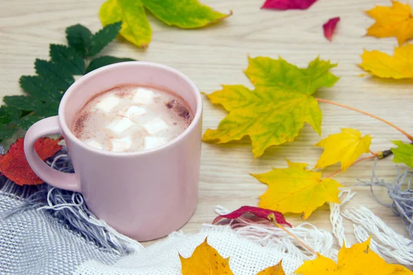 Sıcak kakao mu yoksa şekerli sıcak çikolata mı? Sarı yapraklar. Sonbahar yapraklarının arka planında lokum olan bir fincan sıcak çikolata.
