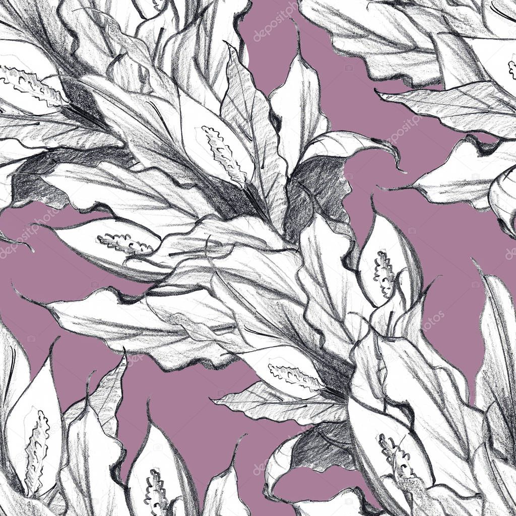 Seamless pattern. Spathiphyllum. raft graphics.  