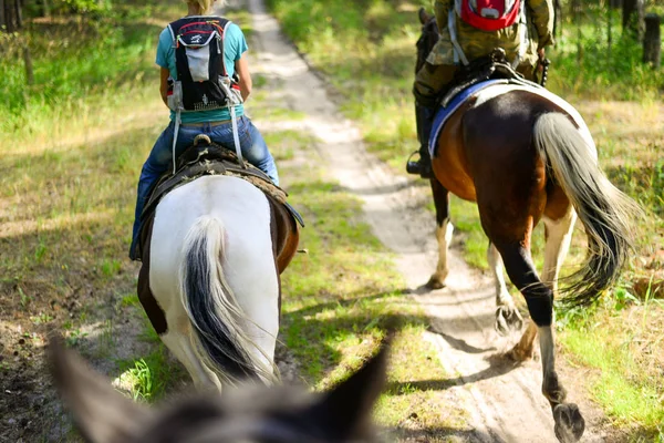 Horse ride along the trail among forests and grass. Two horses and two riders with backpacks and blur the ears of the third horse. The photo. Soft focus, bokeh, blurred background. Sunny day, the shadows of the trees.