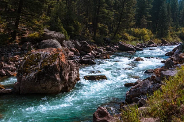 Rugged Mountain River. Una roca gigante en agua dulce. Gallatin, Montana, Estados Unidos . —  Fotos de Stock