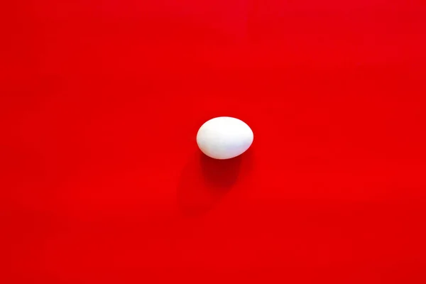 White Egg Red Background Center — Stock Photo, Image
