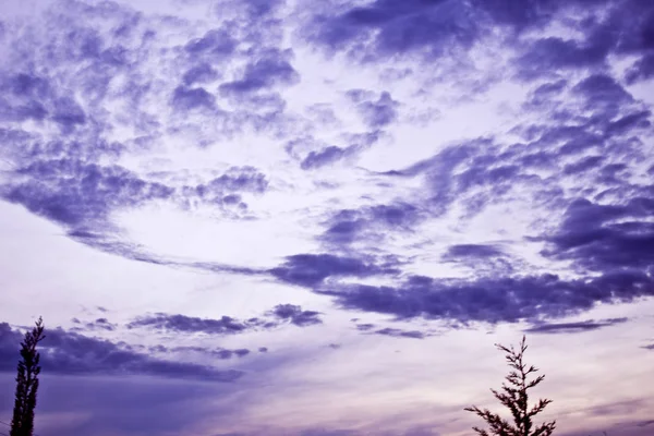 Pastel rengi pembe ve mor gökyüzü gün batımında