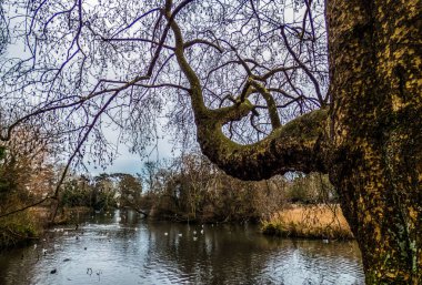 Lake Park ile kuşlar, Eastbourne, İngiltere