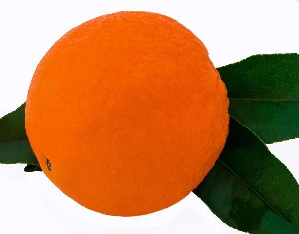 Isolated orange close-up  fruit on white background — Stock Photo, Image