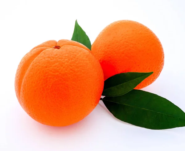 Two oranges close-up on te white background — Stock Photo, Image