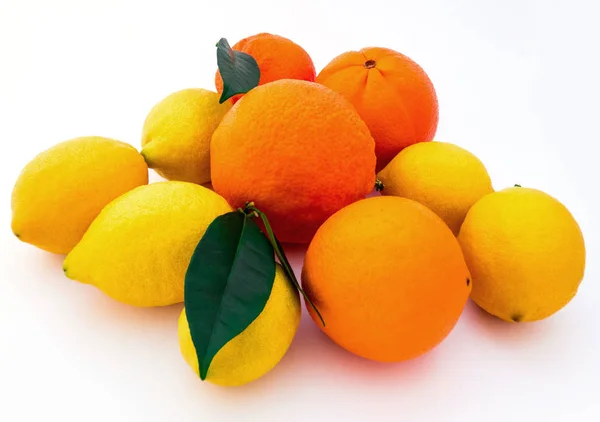 Lemons and oranges on the white background — Stock Photo, Image