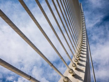 Valencia, İspanya'da Sanat ve Bilim Kenti yakınlarındaki köprü