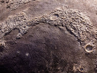 Sanat ve Bilim Şehri, Valencia'da 3d modelde ay yüzeyi