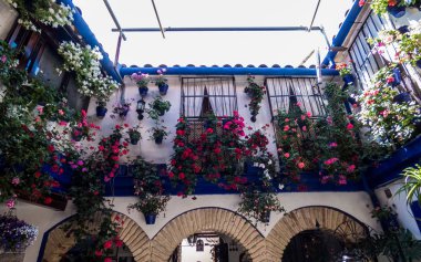 Traditional flower-decorated patio in ��ordoba, Spain