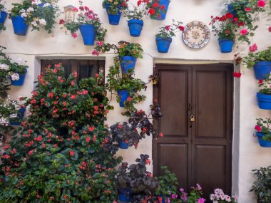 Traditional flower-decorated patio in ��ordoba, Spain
