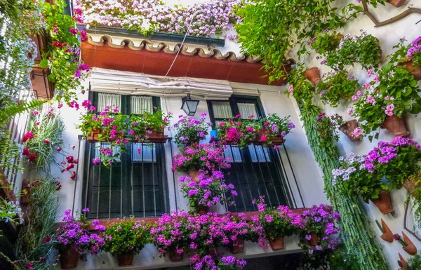 Patio tradicional decorado con flores en Suiza, España — Foto de Stock