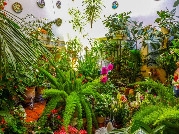 Patio tradicional decorado con flores en Suiza, España — Foto de Stock