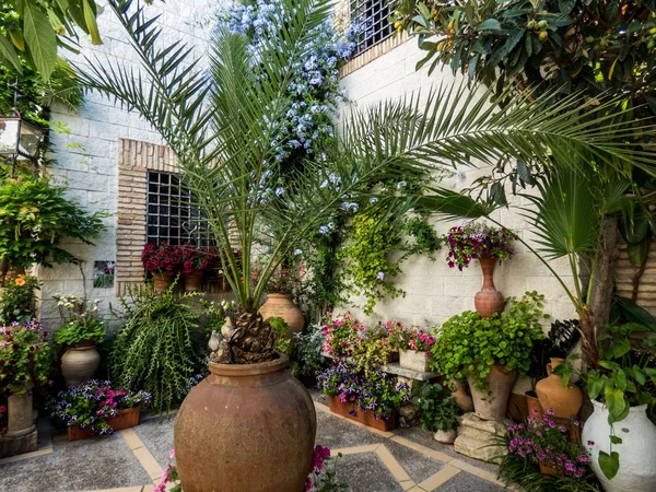 Patio tradicional decorado con flores en Suiza, España —  Fotos de Stock