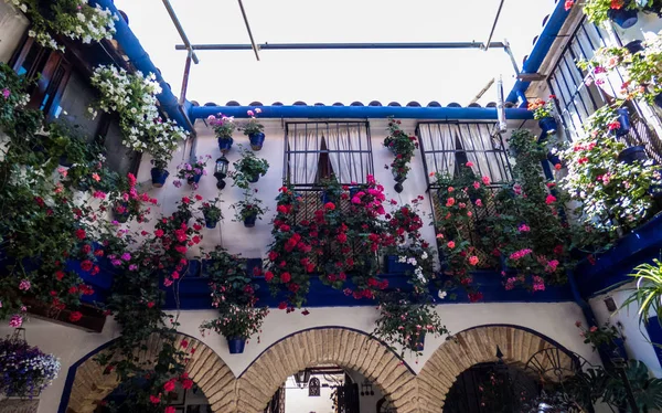 Traditional flower-decorated patio in ��ordoba, Spain