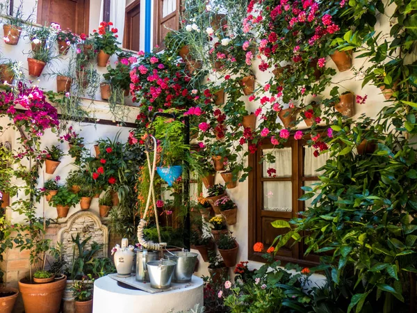 Traditional flower-decorated patio in ��ordoba, Spain