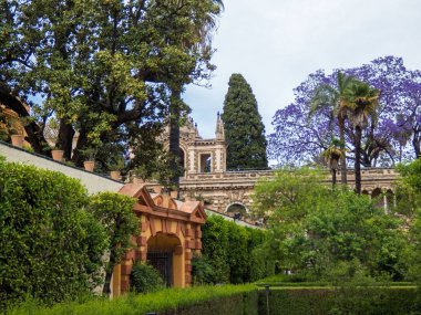 Alcazar Bahçesi, park, Kraliyet Sarayı, Sevilla, Endülüs, Spai