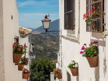 Şehir ve çevresindeki coun kenarında evlerin yükseltilmiş görünümü