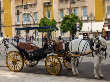 at arabası Seville, Endülüs, İspanya