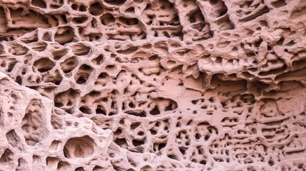 sünger yapısı, arka plan, doku ile sıradışı taş