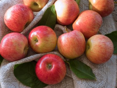 Tarçın ile kırmızı ve pembe renk Elma bir tuval üzerinde sopa