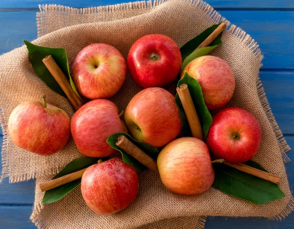 Apples of red and pink color with cinnamon sticks on a canvas on — Stock Photo, Image