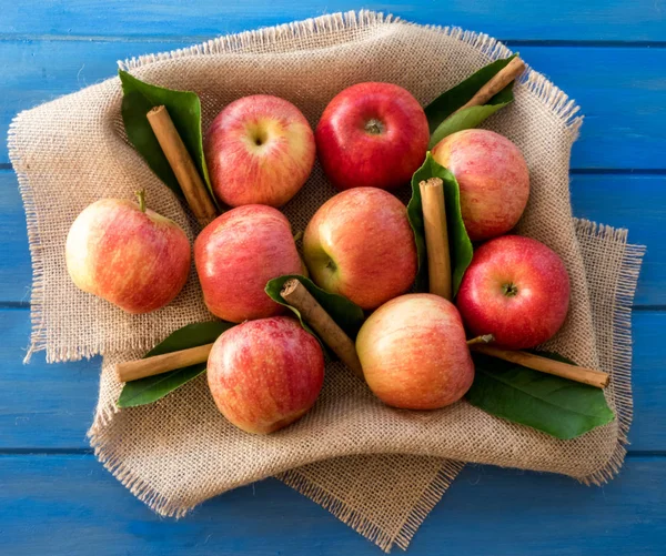 Apples of red and pink color with cinnamon sticks on a canvas — Stock Photo, Image