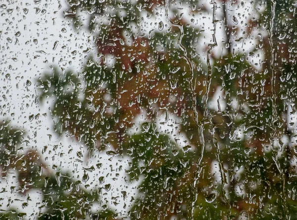 Gotas de lluvia en el cristal de la ventana grande detallado. Ventana con gran — Foto de Stock