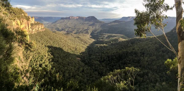 Blue mountains, Sydney (Avustralya) soldaki ikonik 3 kız ile yakın bakış açısı