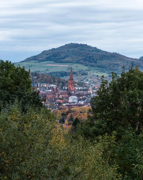 Şehir sonbahar orman, Freiburg (Almanya yanında)