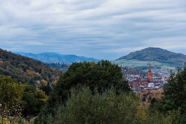 Şehir sonbahar orman, Freiburg (Almanya yanında)