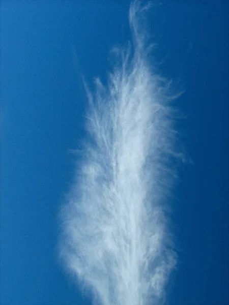 Σύννεφο Που Διαμορφώνεται Όπως Ένα Φτερό Ασημένια Φτέρη Που Λαμβάνονται — Φωτογραφία Αρχείου